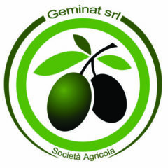 Logo Geminat srl